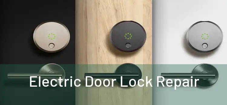Electric Door Lock Repair